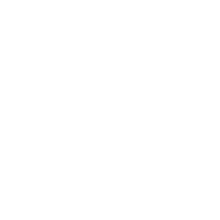 Уровень 1 — Aeternus